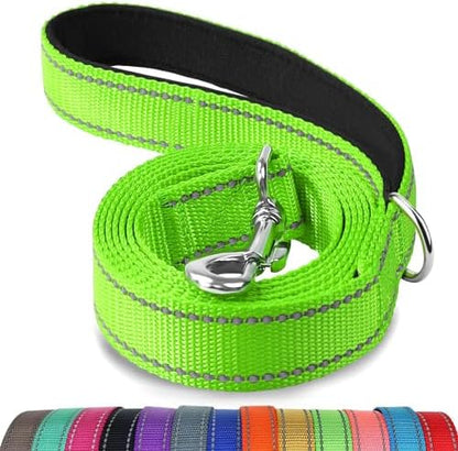 Joytale Reflective Dog Leash for Medium & Large Dogs, 4 FT x 1" by Joytale