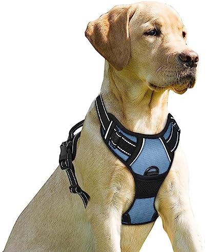 BARKBAY Dog Harness No Pull for Medium Sized Dog Front Back Clips, Dog Vest by BARKBAY