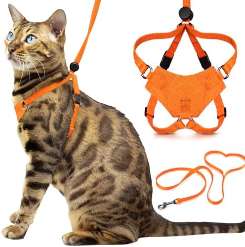 OutdoorBengal Houdini™ Escape Proof Kitten Harness and Leash by OutdoorBengal