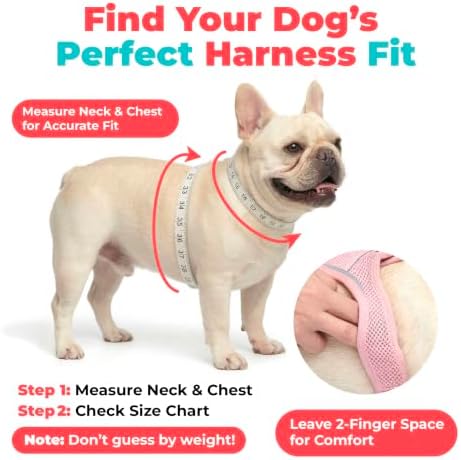 Voyager Step-in Air Dog Vest Harness - Image 6