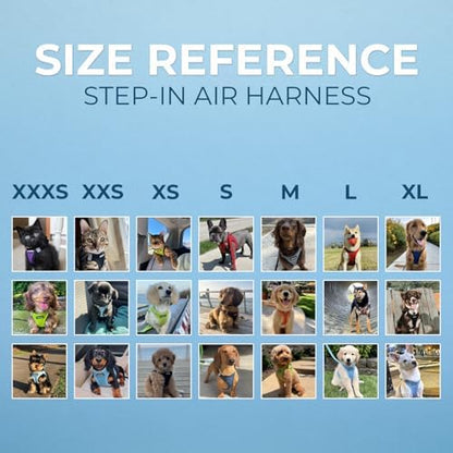 Voyager Step-in Pet Harness by Best Pet Supplies - Image 6