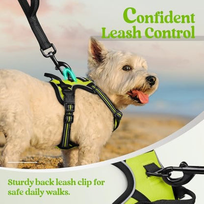 rabbitgoo Dog Harness No Pull - Image 6