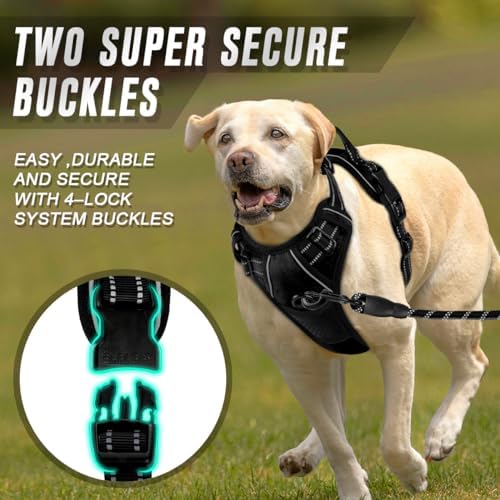 BARKBAY Dog Harness No Pull for Small Sized Dog Front Back Clips, Dog Vest - Image 4