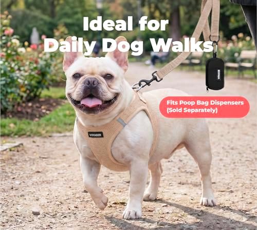 Best Pet Supplies Voyager Nylon Dog Leash - Image 3