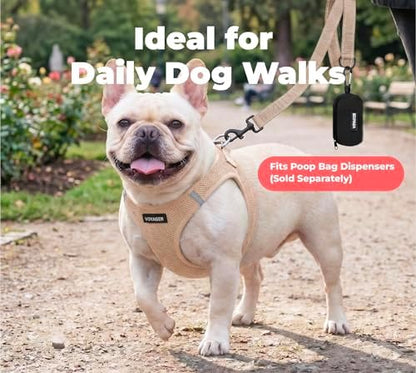 Best Pet Supplies Voyager Nylon Dog Leash - Image 3
