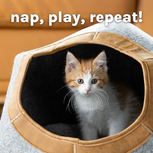 Kitty City Felt Round Bed, Warm and Cozy cat Bed - Image 2