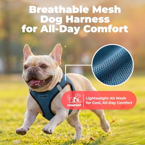 Voyager Step-in Air Dog Vest Harness - Image 5