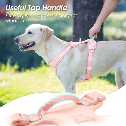 Sunraymascota No Pull Dog Harness - Image 4