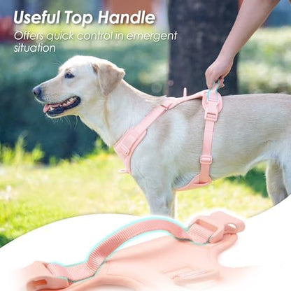 Sunraymascota No Pull Dog Harness - Image 4