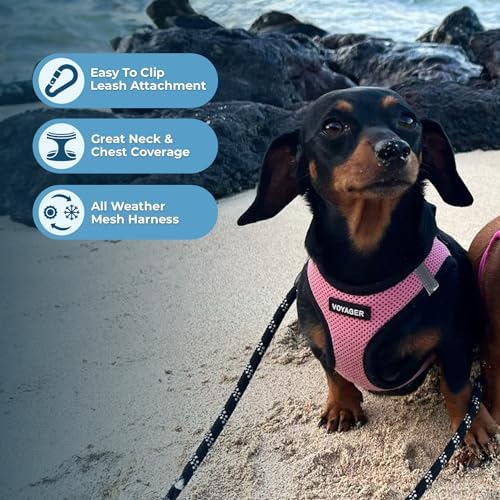 Voyager Step-in Air Dog Vest Harness - Image 3