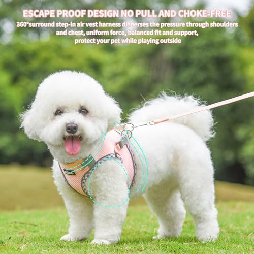 AIITLE Tiny Dog Harness and Leash Set, Step-in Vest - Image 4