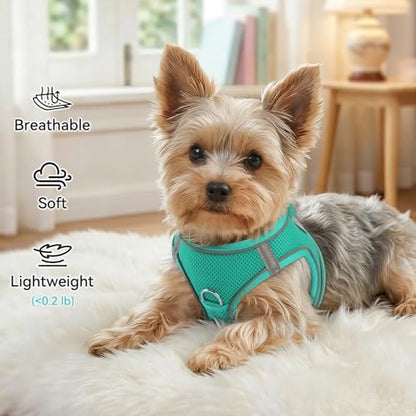 Joytale Step-in Dog Harness, Soft Breathable Mesh, Teal M - Image 4