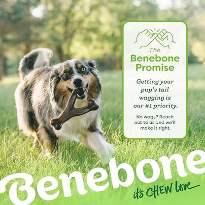 Benebone Wishbone Dog Chew Toy for Aggressive Chewers - Image 6
