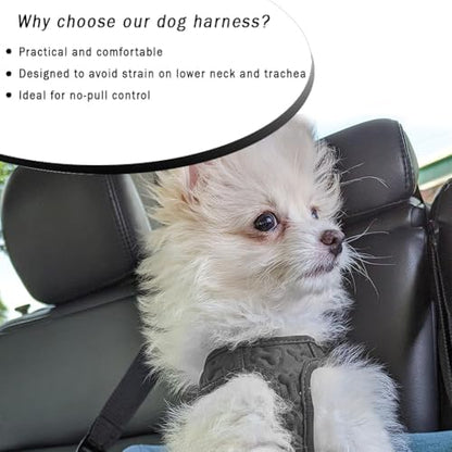 Comfort fit Step-in Dog & Puppy Harness - Image 5