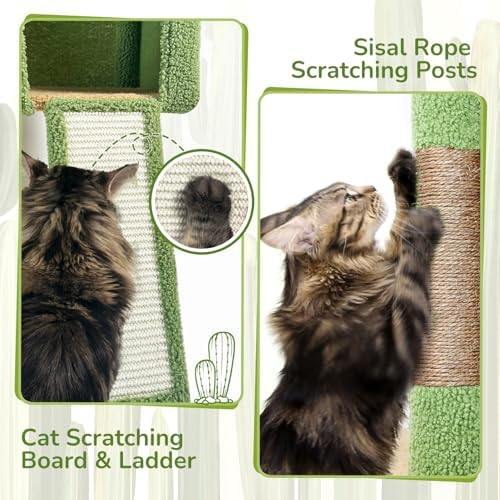 Globlazer F70 Pro Cactus Heavy Duty Cat Tree Tower - Image 5
