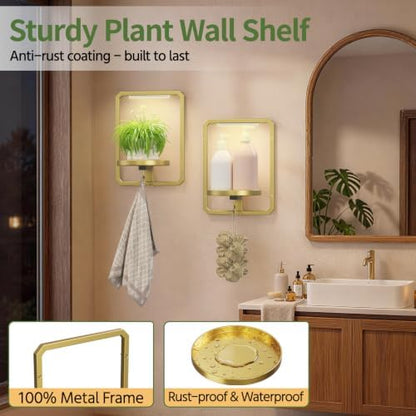 LASZOLA Plant Picture Frame Holder Shelf Wall - Image 6