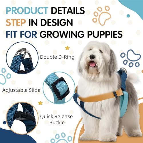 Blue Orange Tri-Color Small Dog Harness, Step-in Design - Image 4