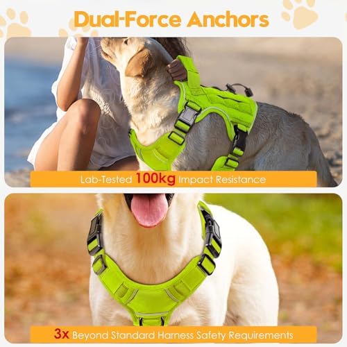 Heavy-Duty Tactical Dog Harness - Image 4