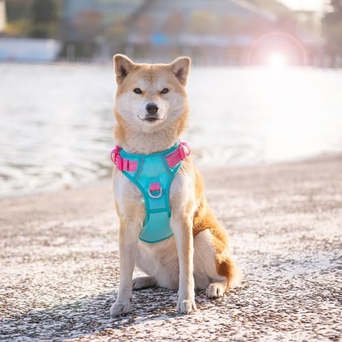 PHOEPET No Pull Dog Harness, Unique Colors Reflective Adjustable Dog Vest - Image 3