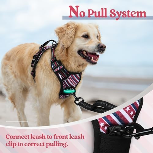 rabbitgoo Dog Harness, No Pull for Small Dogs - Image 5