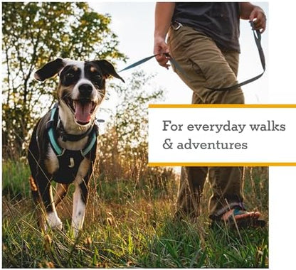 Ruffwear, Hi & Light Dog Chest Harness, Basalt Gray - Image 3