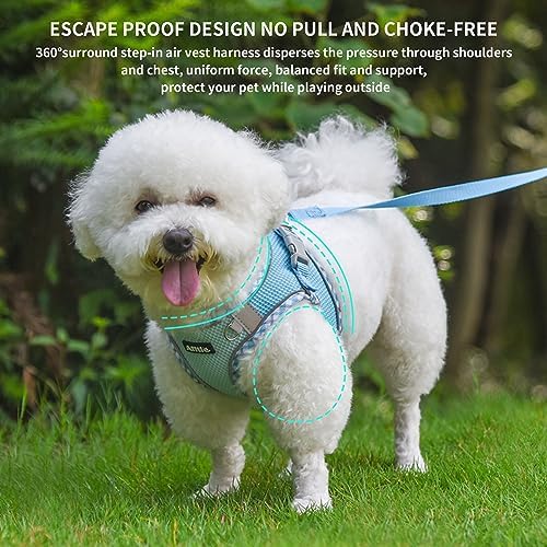 AIITLE Medium Dog Harness and Leash Set - Image 5