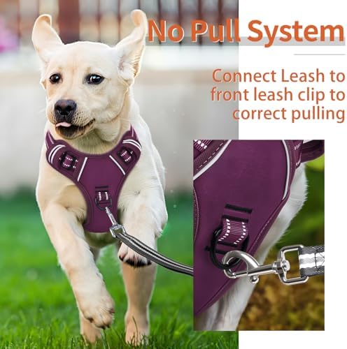 HEELE Dog Harness for Small Dogs No Pull Dog Vest Harness for Small Dog - Image 4