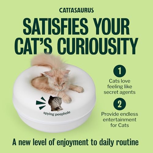 Cattasaurus Peekaboo Cat Cave Donut - Image 6