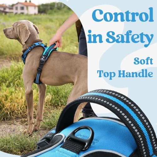rabbitgoo Dog Harness Small Sized, Updated Easy On & Off - Image 5