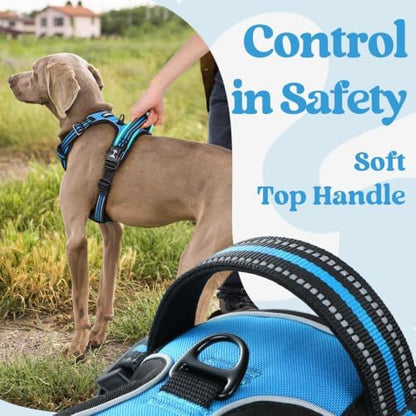 rabbitgoo Dog Harness Small Sized, Updated Easy On & Off - Image 5