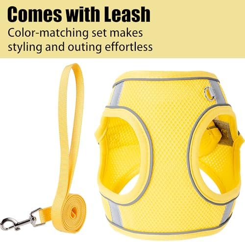 Dog Harness for Small Medium Sized Dog, Puppy Harness and Leash Set Training - Image 3