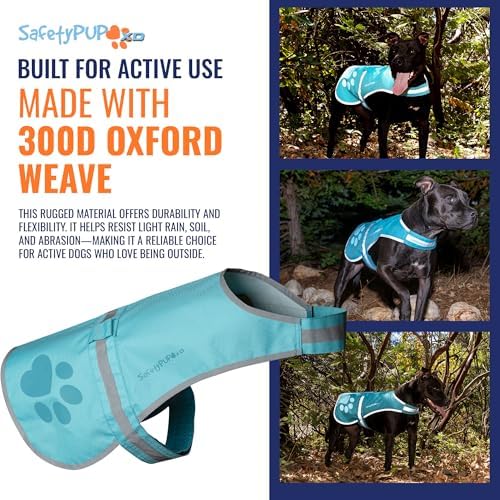 Reflective Dog Vest, Hi Vis Safety Gear - Image 6