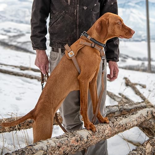 Carhartt Nylon Duck No Pull Dog Harness Harbor Teal S - Image 5