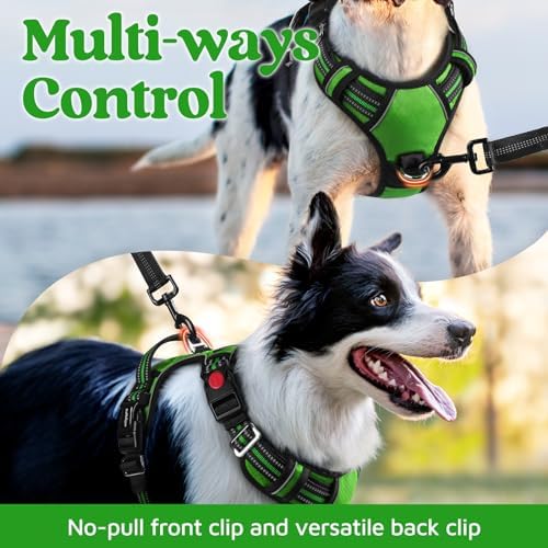 rabbitgoo Dog Harness Small Sized, No Pull 3 Buckles Easy On & Off - Image 3