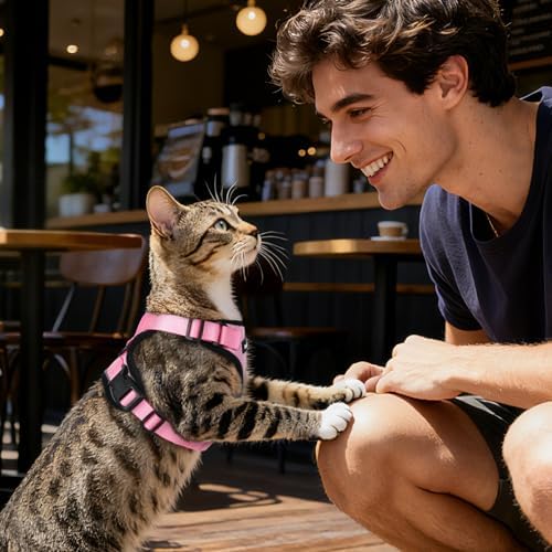 Dooradar Cat Harness and Leash Set, Adjustable and Escape Proof - Image 2