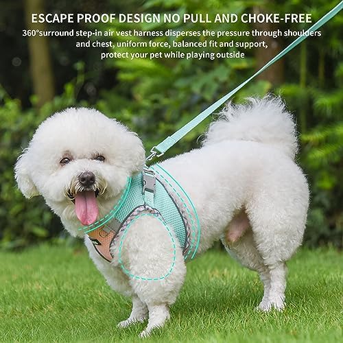 AIITLE Escape-Proof Dog Harnesss and Leash Set, Turquoise-Pink L - Image 6