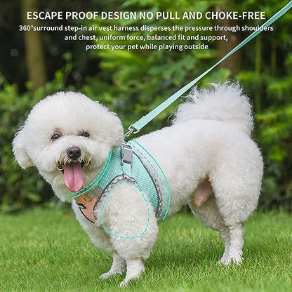 AIITLE XXS Dog Harness & Leash - Image 4