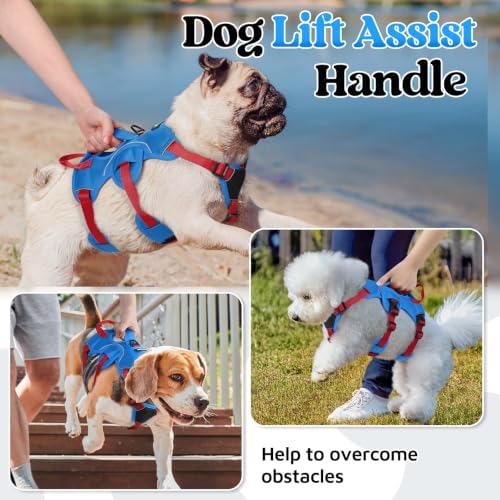 rabbitgoo Escape Proof Dog Harness - Image 3