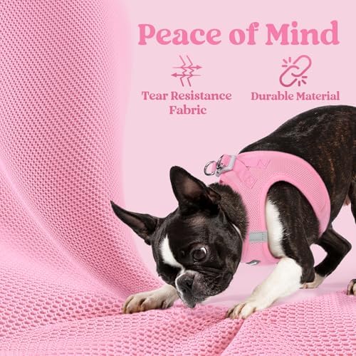rabbitgoo Step-in Small Dog Harness, Puppy Vest - Image 4