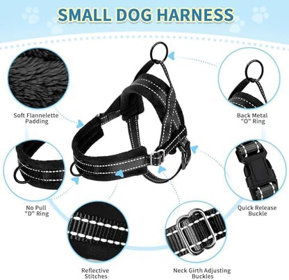 SlowTon No Pull Small Dog Harness and Leash Set - Image 6