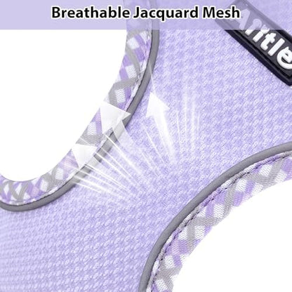 AIITLE Small Dog Harness and Leash Set - Image 3