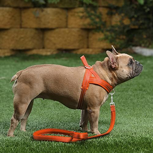 Plutus Pet No Pull Dog Harness for Medium Sized Dog, Breathable Mesh Padded - Image 5