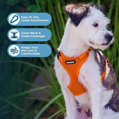 Voyager Step-in Lock Dog Harness - Image 3