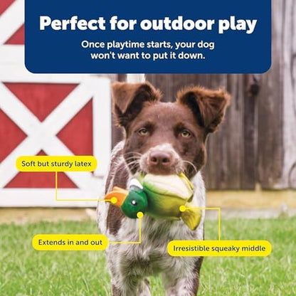 PetSafe Animal Squeak Dog Toy - Image 5