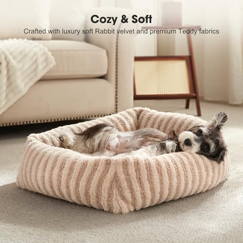 MIXJOY Dog Bed for Medium Small Size Dog, Washable Medium Dogs Bed - Image 3