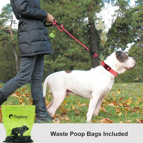 Taglory Rope Dog Leash for Medium Large Dogs, 4 FT Padded Handle - Image 2