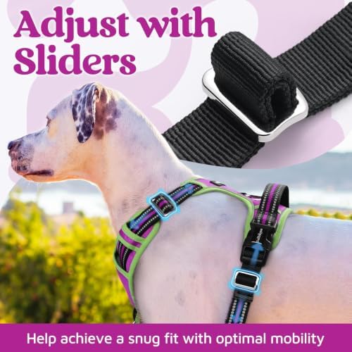 rabbitgoo Dog Harness Medium Sized, No Pull 3 Buckles Easy On & Off - Image 5