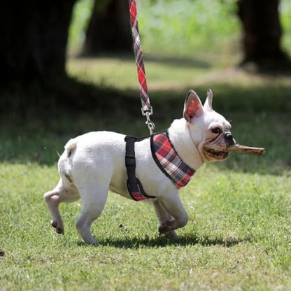 PUPTECK Small Dog Harness and Leash Set No Pull - Image 6