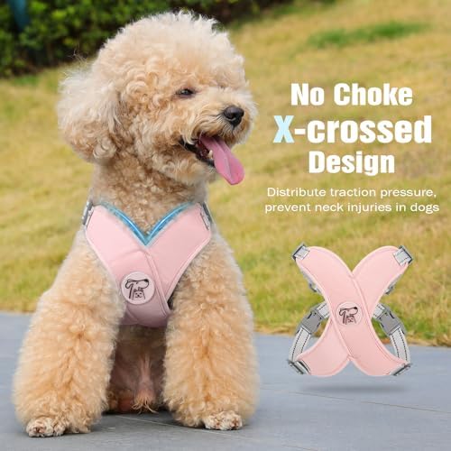 Pawaboo Small Dog Harness and Leash Set, Puppy Harness X-Frame Adjustable - Image 3