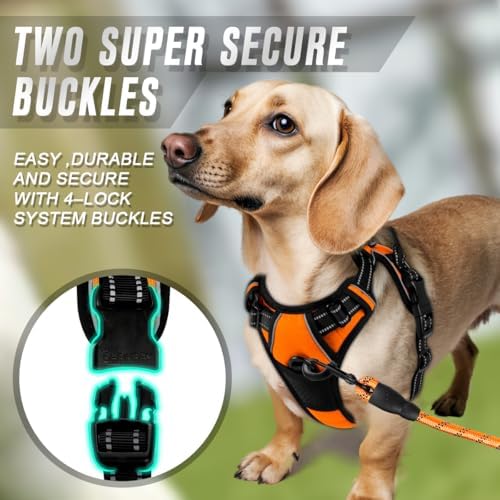 BARKBAY Dog Harness No Pull for Small Sized Dog Front Back Clips, Dog Vest - Image 4